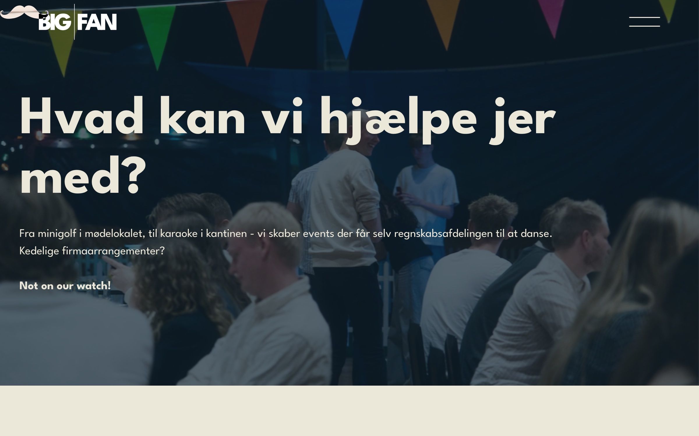 The services page on desktop, a party under coloured bunting behind the headline “Hvad kan vi hjælpe jer med?”