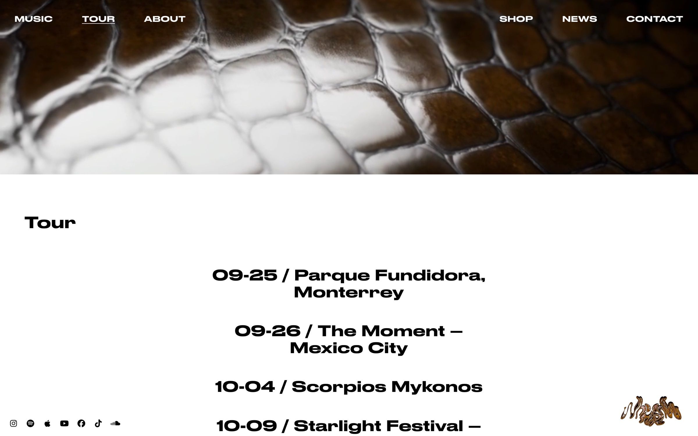The tour page on desktop, a snakeskin texture video above the list of upcoming dates